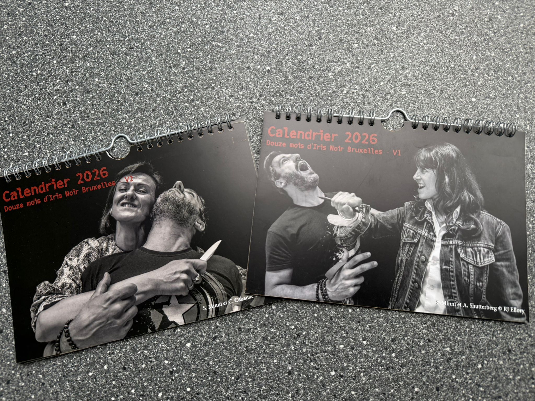 Calendrier 2026. Douze mois d'Iris Noir Bruxelles V1+V2